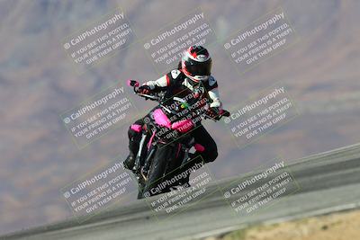 media/Mar-08-2025-TrackXperience (Sat) [[277b597a28]]/4-Level 1/Session 5 (Turn 9)/